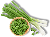 Sesame